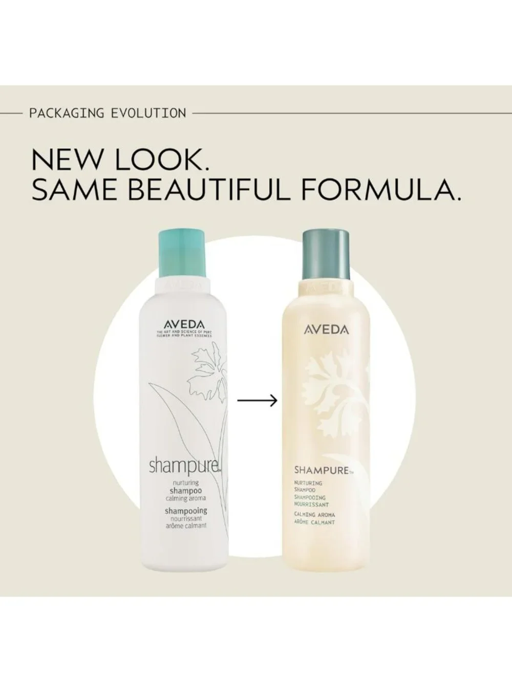 Nurturing Shampoo for Fine to Medium Hair | Gently Cleanses & Nourishes
